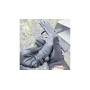 Vzmetna airsoft replika Walther PPQ
